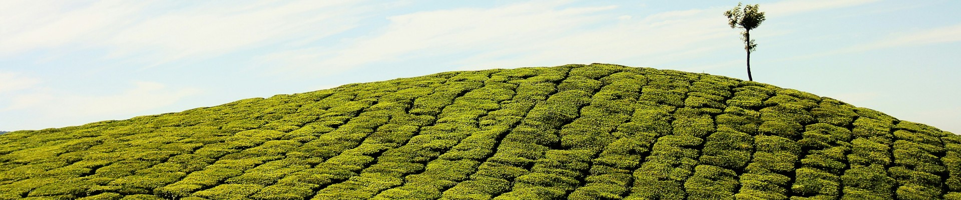 Darjeeling